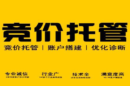 实战案例分享：SEM代运营机构助力企业市场份额